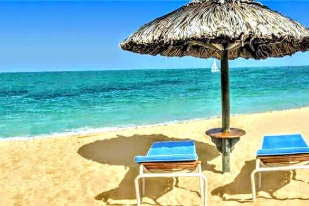 Apartament Corail Canet-en-Roussillon Zewnętrze zdjęcie